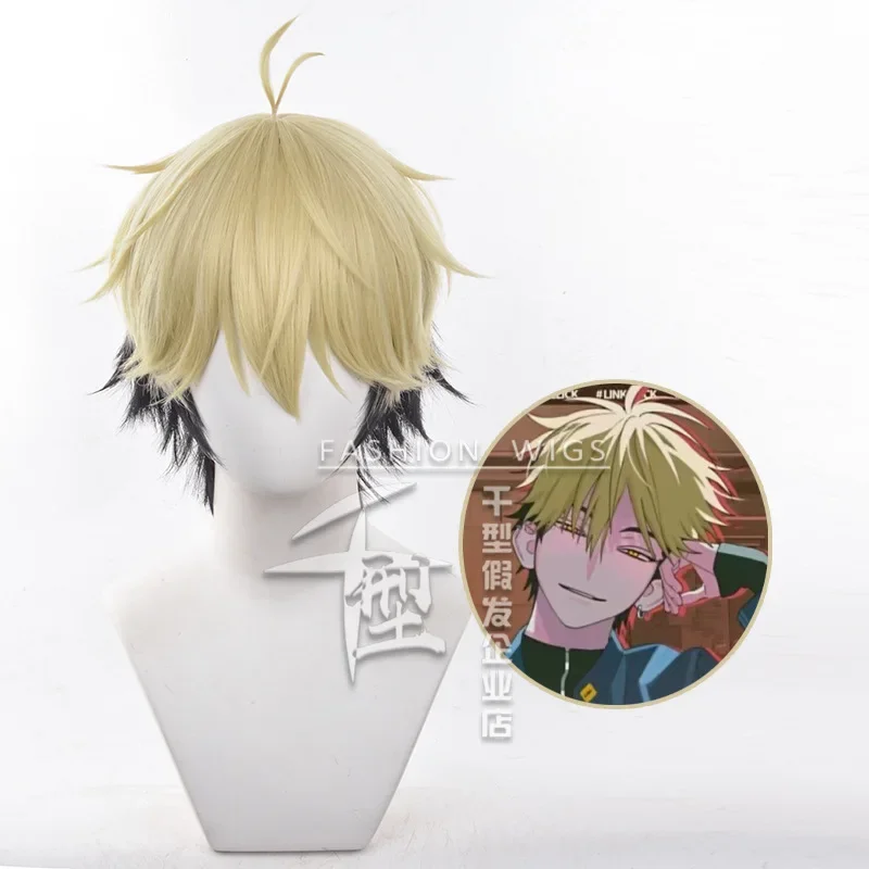 Anime Cosplay Link - شعر مستعار تنكري من فيليكس أنيمي